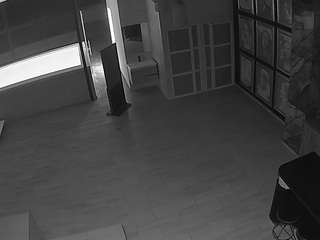 voyeurcam-casa-salsa-panoramic