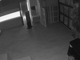 voyeurcam-casa-salsa-panoramic