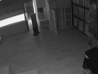 voyeurcam-casa-salsa-panoramic