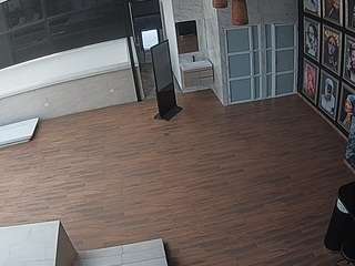 voyeurcam-casa-salsa-panoramic