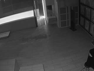 voyeurcam-casa-salsa-panoramic