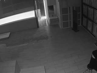 voyeurcam-casa-salsa-panoramic