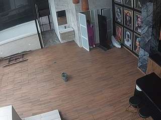 voyeurcam-casa-salsa-panoramic