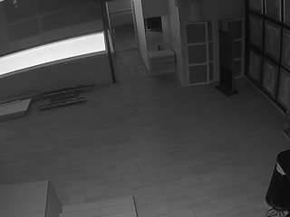 voyeurcam-casa-salsa-panoramic