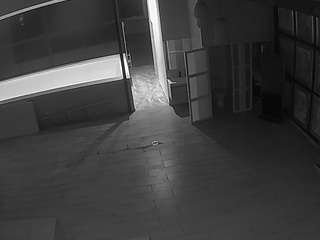 voyeurcam-casa-salsa-panoramic webcam model