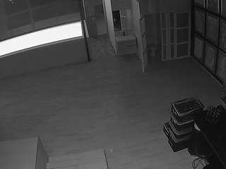 voyeurcam-casa-salsa-panoramic camsoda