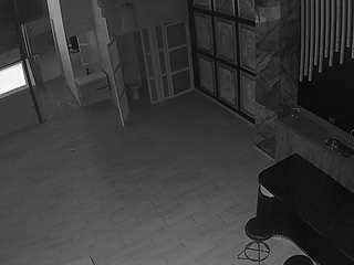 voyeurcam-casa-salsa-panoramic