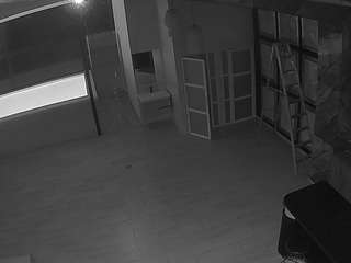 voyeurcam-casa-salsa-panoramic