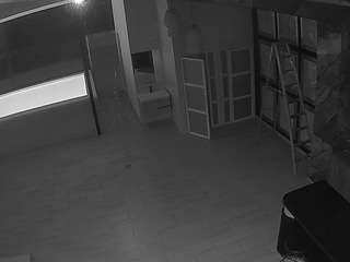 voyeurcam-casa-salsa-panoramic