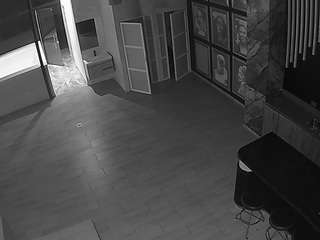 voyeurcam-casa-salsa-panoramic