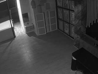 voyeurcam casa salsa panoramic