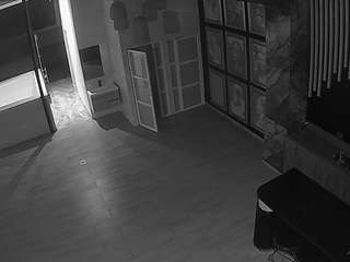 voyeurcam casa salsa panoramic
