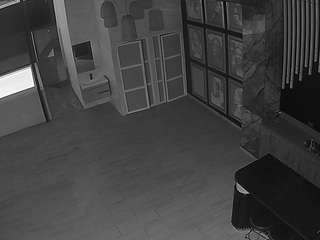 voyeurcam-casa-salsa-panoramic