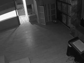 voyeurcam-casa-salsa-panoramic