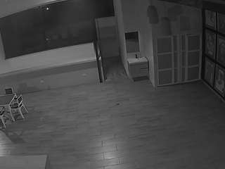 voyeurcam-casa-salsa-panoramic Profile Image