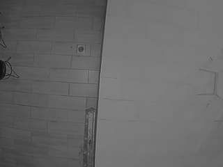 voyeurcam-casa-salsa-panoramic webcam