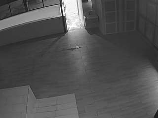 voyeurcam casa salsa panoramic