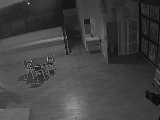 voyeurcam-casa-salsa-panoramic
