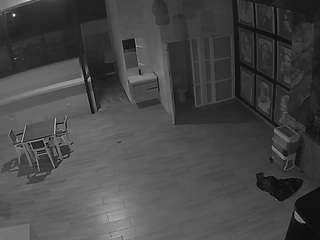 voyeurcam-casa-salsa-panoramic