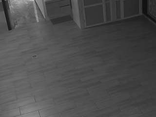 Dieses Model ist jetzt live. voyeurcam-casa-salsa-panoramic