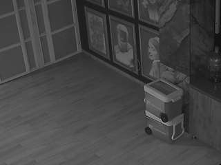 voyeurcam-casa-salsa-panoramic