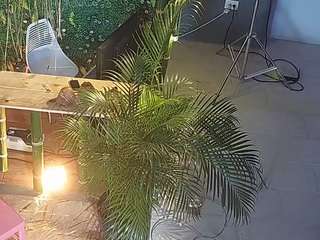 voyeurcam-casa-salsa-panoramic