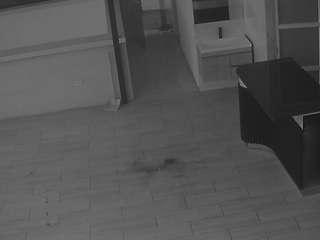 voyeurcam-casa-salsa-panoramic