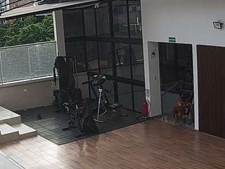 voyeurcam-casa-salsa-panoramic