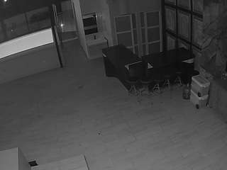 voyeurcam-casa-salsa-panoramic