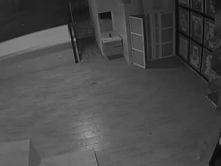 voyeurcam-casa-salsa-panoramic