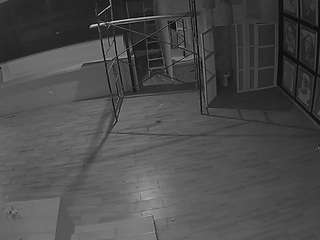 voyeurcam-casa-salsa-panoramic