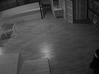 voyeurcam-casa-salsa-panoramic