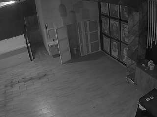 voyeurcam-casa-salsa-panoramic
