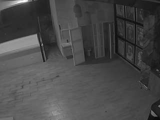 voyeurcam-casa-salsa-panoramic