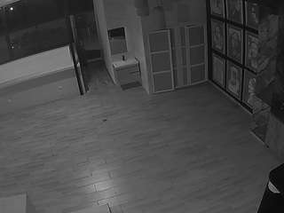 voyeurcam-casa-salsa-panoramic