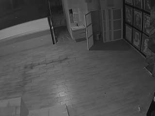 voyeurcam-casa-salsa-panoramic