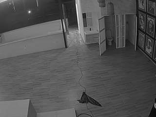 voyeurcam casa salsa panoramic live webcam show