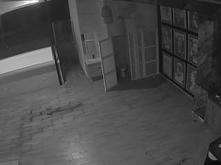 voyeurcam-casa-salsa-panoramic