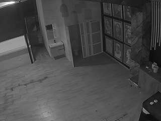 voyeurcam-casa-salsa-panoramic