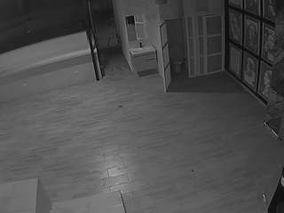 voyeurcam-casa-salsa-panoramic