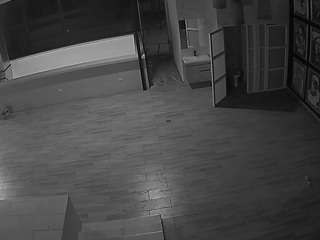 voyeurcam-casa-salsa-panoramic