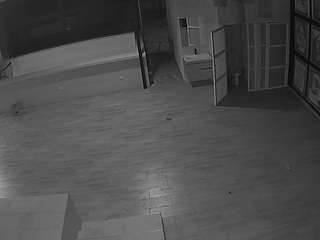voyeurcam-casa-salsa-panoramic