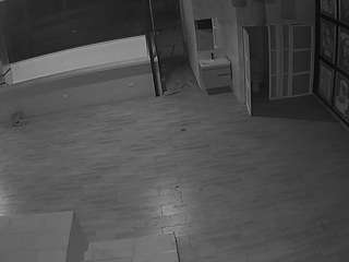 Voyeurcam-casa-salsa-panoramic's cam show statistics and live stream