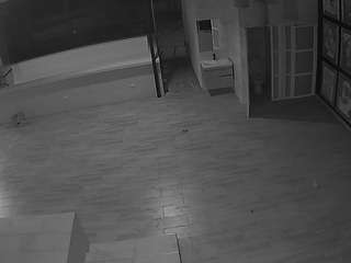 voyeurcam casa salsa panoramic
