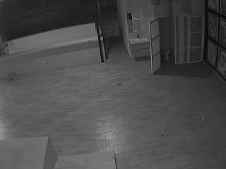 voyeurcam casa salsa panoramic
