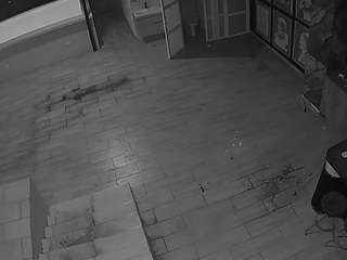 voyeurcam-casa-salsa-panoramic