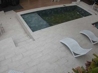  live cam