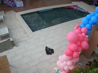 voyeurcam-casa-salsa-rooftop