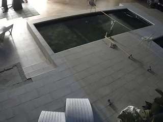 voyeurcam-casa-salsa-rooftop - Cam en Direct