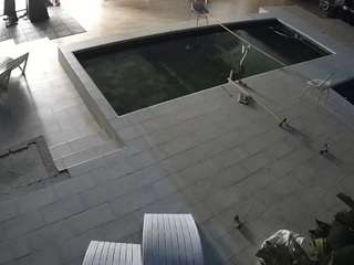 voyeurcam-casa-salsa-rooftop Webcam Model Profile